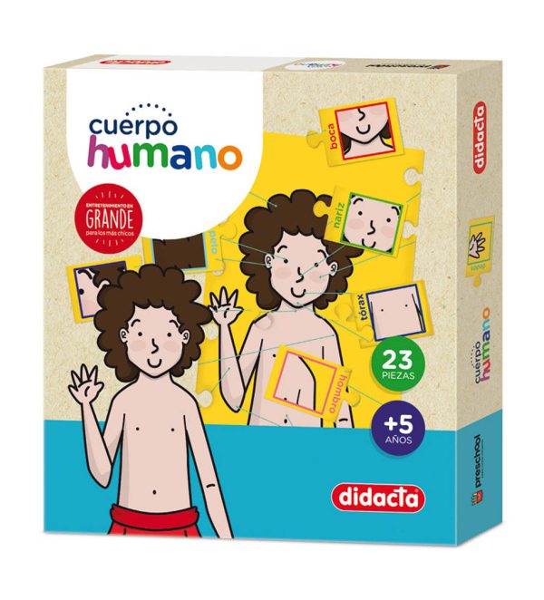 CUERPO HUMANO